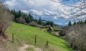 Percorso A piedi Conques-en-Rouergue - TerraTrail 7 - Photo 3