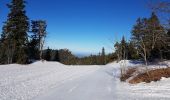 Tocht Stappen Autrans-Méaudre en Vercors - La Sure par Plénouse  - Photo 3