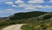 Randonnée Vélo électrique Vialas - TOUR DU MONT LOZERE - Photo 5