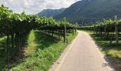 Trail On foot Rivoli Veronese - Canale-Monte Cordespino - Photo 4