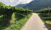 Percorso A piedi Rivoli Veronese - Canale-Monte Cordespino - Photo 4