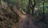 Excursión Senderismo Chaudfontaine - via bois des dames et bois de la rochette  - Photo 12