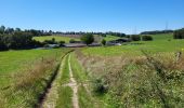 Trail Walking Namur - Vedrin 100823 - Photo 11