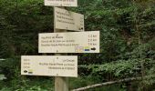 Trail Walking Ouhans - RANDONNEE A LA SOURCE DE LA LOUE - Photo 8