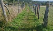 Trail Walking Vendôme - Vendôme - Villiers-sur-Loir  - Photo 1