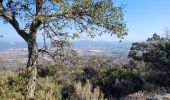 Randonnée Marche Roquebrune-sur-Argens - Massif flute - Photo 5