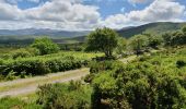 Tour Wandern Kenmare Municipal District - Glencar - Glengeigh - Photo 4