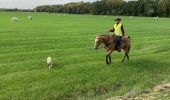 Trail Horseback riding Saint-Martin - Ar Reherey avec Vispa Tivio chez Marion satis  - Photo 2