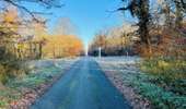 Randonnée Marche Saint-Jean-aux-Bois - en forêt de Compiègne_44_sur les Routes du Moulin et de Berne - Photo 19