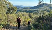 Trail Walking Roquebrune-sur-Argens - Col du Bougnon : la Garonnette - Photo 3