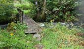 Tocht Stappen Paliseul - boucle Cul du Péreu par le Pont de Prêtre par le Pont de Prêtre  - Photo 5