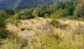 Trail Walking Bagni di Lucca - Ponte a Gaio - Rifugio Cesentini - Belvedere - Photo 1