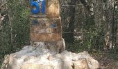 Trail Walking Le Muy - roquebrune argens - Photo 1