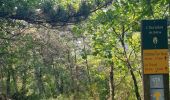 Randonnée Marche Châtillon-en-Diois - chatillon en Diois. les oursieres  - Photo 2