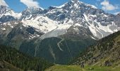 Trail On foot Stilfs - Stelvio - IT-25 - Photo 9