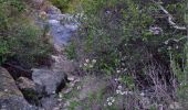 Randonnée Marche La Cadière-d'Azur - vallon du dégoûtant 2 - Photo 1