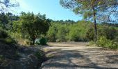 Trail Walking Carcès - 20191016 Carcès le Lac 2 - Photo 3