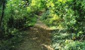 Trail Walking Herstal - SGR 412 (2ème étape) - Photo 13