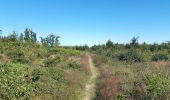 Tour Wandern Sankt Vith - Rodt petite escapade en Ostbelgien - Photo 2