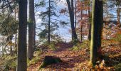 Trail Walking Lutzelhouse - 2019-11-30 Marche Rocher de Mutzig Noll - Photo 15