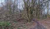 Trail Walking Theux - tancremont . la Tourette . les Mazures . chalsèche . forgé thiry . anc fort  - Photo 4