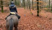 Trail Horseback riding Neufchâteau - Bois de la Fosse - Photo 6