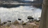 Randonnée Marche Gérardmer - Tour du lac de Gerardmer - Photo 6