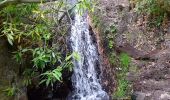 Tocht Te voet Telde - Barranco de los Cernícalos - Photo 8