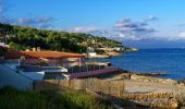 Percorso A piedi Antibes - Tour du Cap d'Antibes - Photo 10