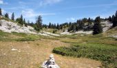 Tour Wandern Châtillon-en-Diois - Cirque d'Archiane - Les Hauts Plateaux du Vercors - Photo 12