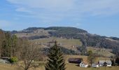 Tocht Te voet Voitsberg - Auf der Sonnenseite der Stadt Voitsberg - Photo 7