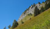Excursión A pie Saint-Gervais-les-Bains - Col de Tricot - Photo 3