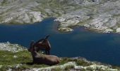 Tocht Stappen Val-Cenis - Randonnée matinale - Photo 3