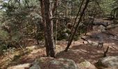 Trail On foot Fontainebleau - Sentier Denecourt-Colinet 7 - Photo 4