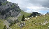 Tour Wandern Saint-Christophe-sur-Guiers - Petit Som - Photo 1