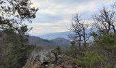 Excursión Senderismo Wintzenheim - Boucle de la fontaine de la dame  - Photo 10