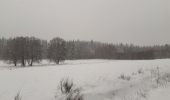 Tocht Stappen Büllingen - Murringen - Weissen Stein - Murringen  - Photo 9