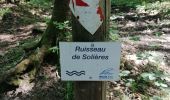 Trail Walking Huy - Les Vallons de la Solières   - Photo 2