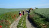 Excursión A pie Grez-Doiceau - #200615 - Entre Bossut et Néthen en passant par La Malaise**** - Photo 7