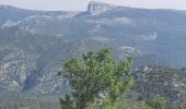 Randonnée Marche Ceyreste - le grand caunet par ceyreste - Photo 2