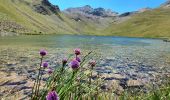 Excursión Senderismo Jausiers - Lac des Terres Pleines. Route de la Bonette - Photo 4