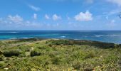 Trail Walking Le Marin - cap-macré/marabout/cap-macré  - Photo 3