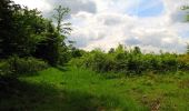 Tour Wandern Coyolles - en forêt de Retz_78_les rayons du Rond Capitaine - Photo 1