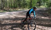 Trail Mountain bike Saint-Clément - sortie VTT du 01052019 vitrimont - Photo 3