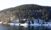 Tour Zu Fuß Wilhelmsthal - Schanzenbinder-Weg - Photo 8