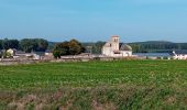 Tocht Stappen Curçay-sur-Dive - Curçay sur dive - Photo 13