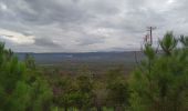 Trail Walking Roquebrune-sur-Argens - bouverie collet redon - Photo 3