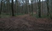 Tocht Mountainbike Virton - Bois de Virton I  -  Balade_VTT_13kms - Photo 13