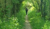 Tocht Stappen Ferrières - rando sy 3-05-2022 - Photo 12