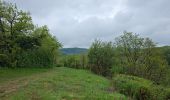 Trail Walking Écrille - Quelque part dans le Jura 🥾 - Photo 1